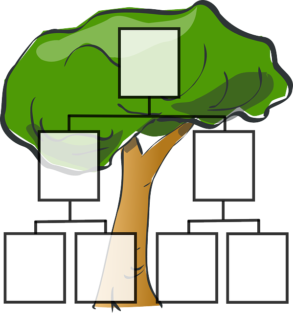 family-tree-297812_640.png